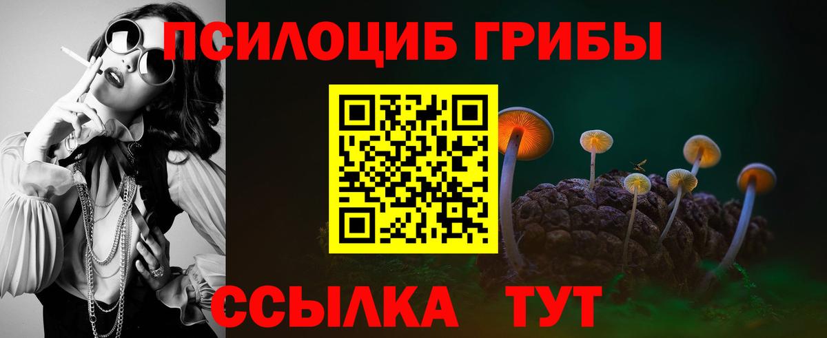 хочу   Галлюциногенные грибы Cubensis  Вход с VPN  Вольск  Галлюциногенные грибы Psilocybine cubensis 
